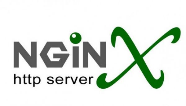 Nginx߼Ӧ--------ŻͻC100K